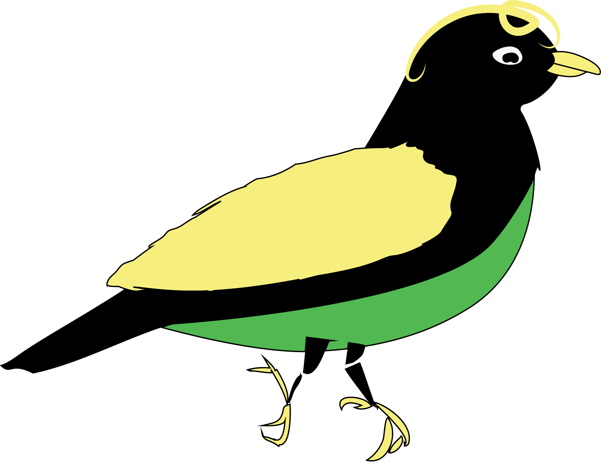 frontend developer bird