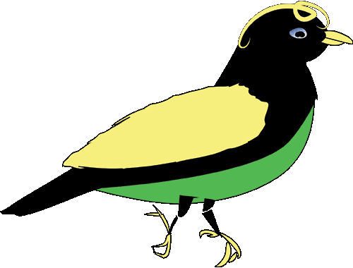 frontend developer walking bird